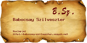 Babocsay Szilveszter névjegykártya